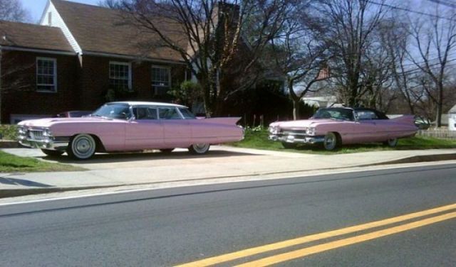 Morning Picdump
