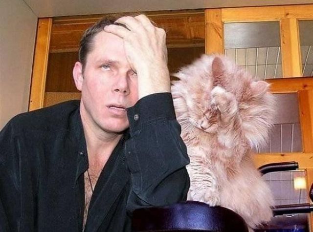Morning Picdump