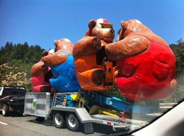Morning Picdump