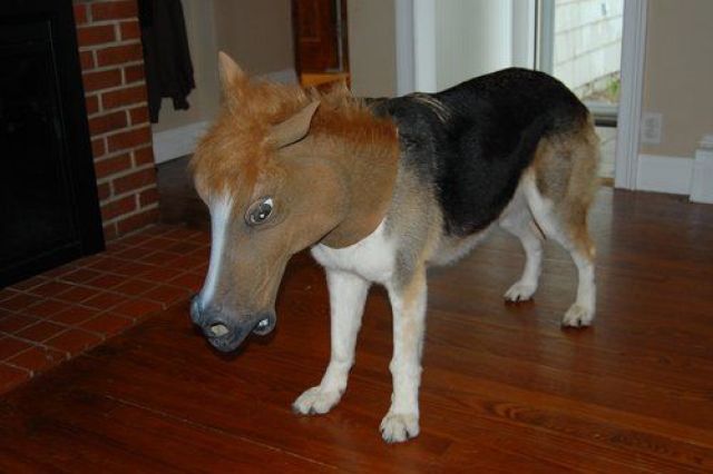 Content Image