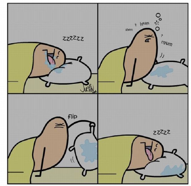 Morning Picdump