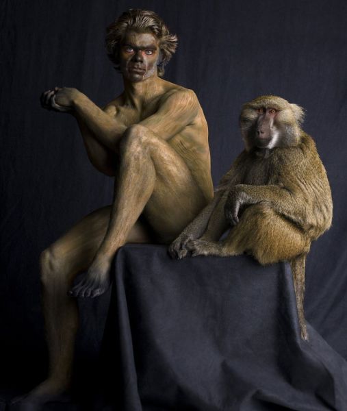 Daily Picdump
