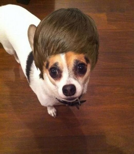Daily Picdump