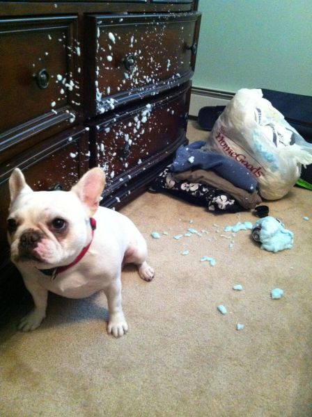 Daily Picdump