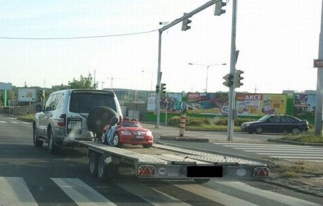 Morning Picdump