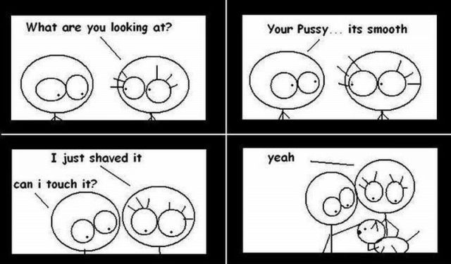 Morning Picdump