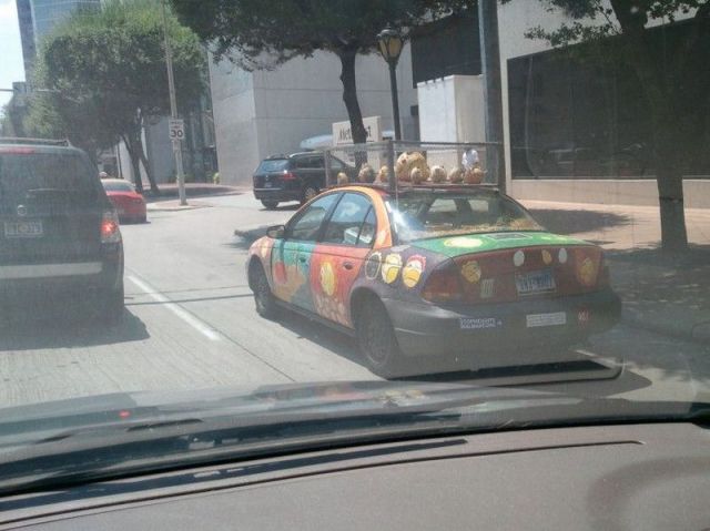 Morning Picdump