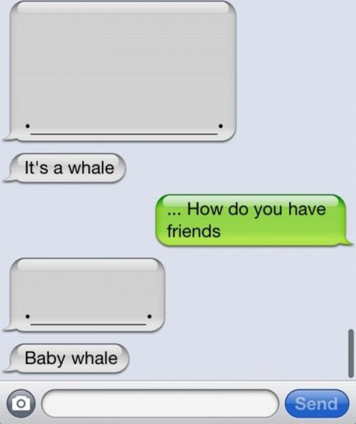 Morning Picdump
