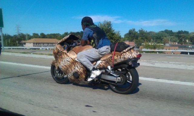 Morning Picdump
