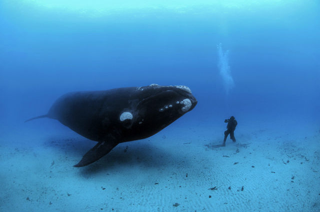Powerfully Inspiring Photography