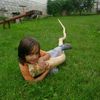 Content Image