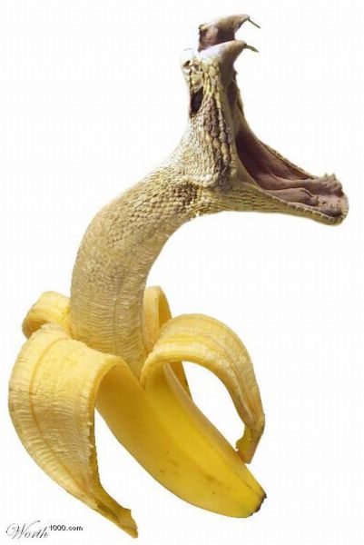 Content Image