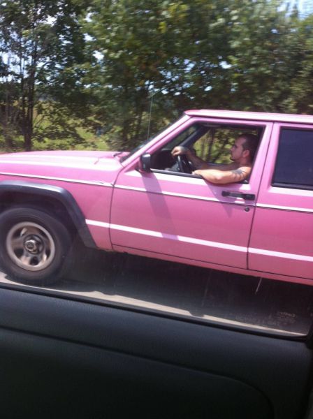 Daily Picdump
