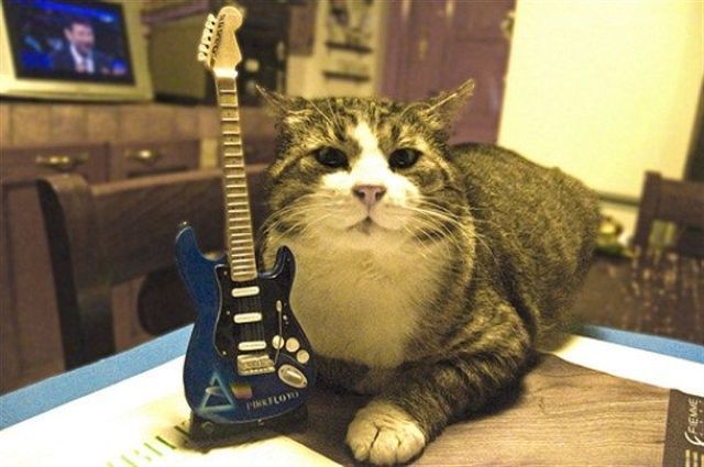 Content Image