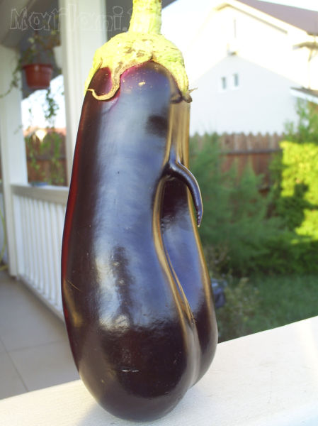 Content Image