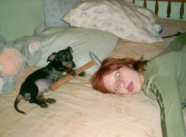 Morning Picdump