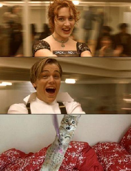 Morning Picdump