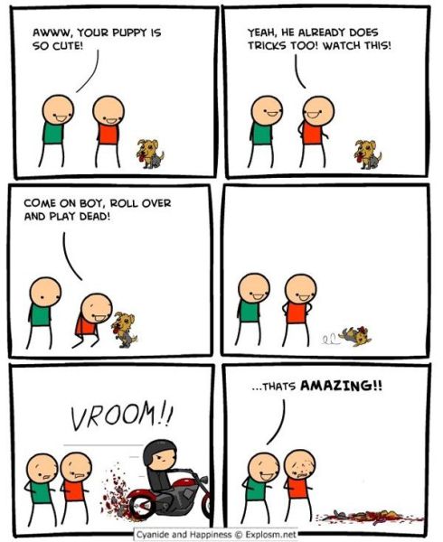 Daily Picdump