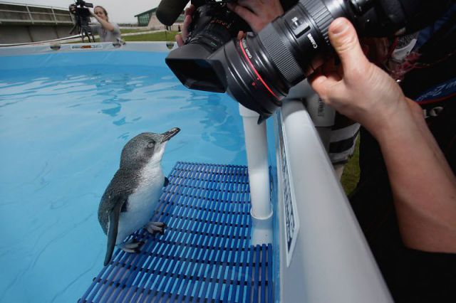 Daily Picdump