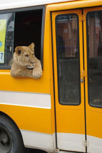 Daily Picdump