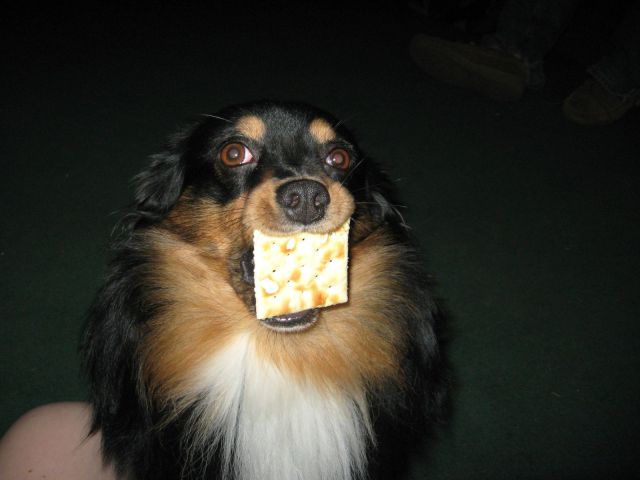 Daily Picdump