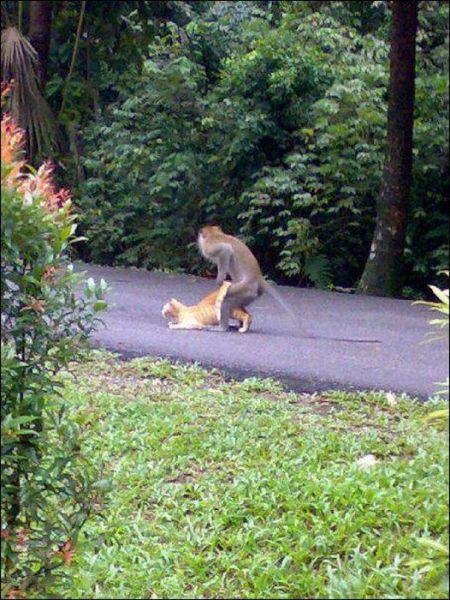 Daily Picdump