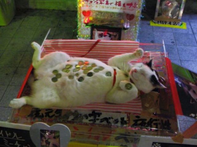 Morning Picdump
