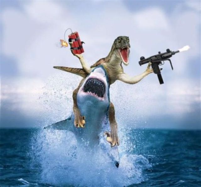 Content Image