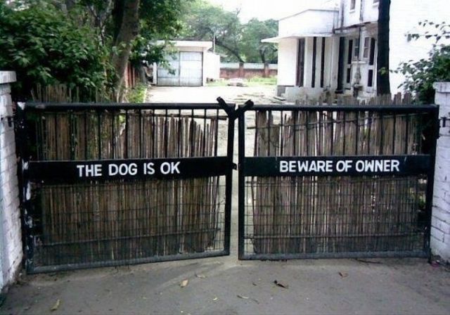 Daily picdump [WEEKEND EDITION]