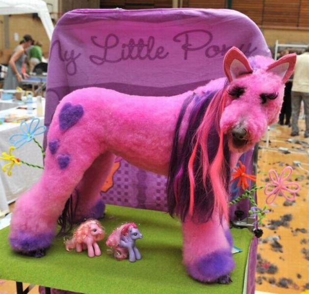 Daily picdump [WEEKEND EDITION]