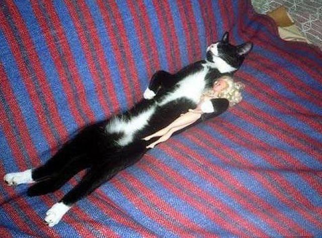 Content Image