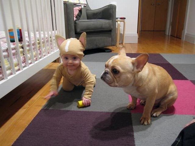 Content Image