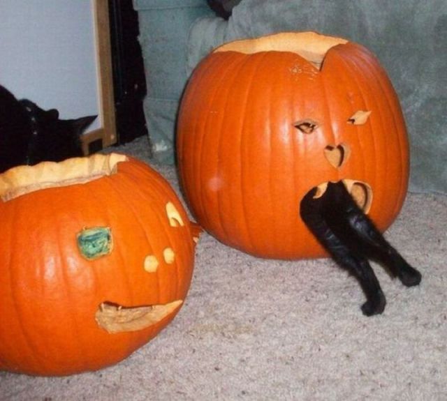 Content Image