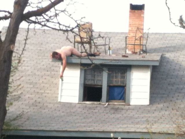 Morning Picdump