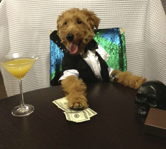 Morning Picdump