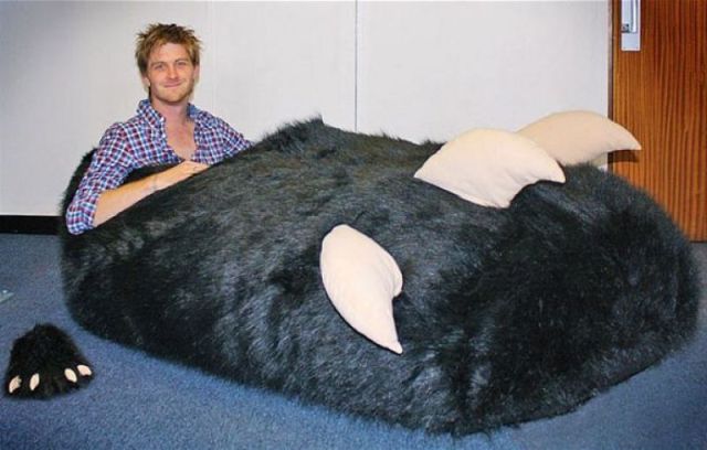 Morning Picdump