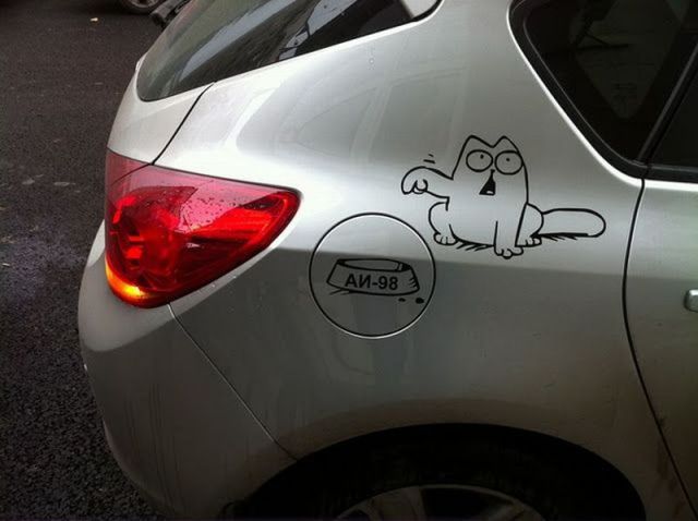 Morning Picdump
