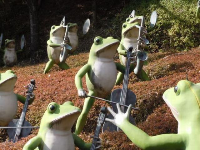 Content Image