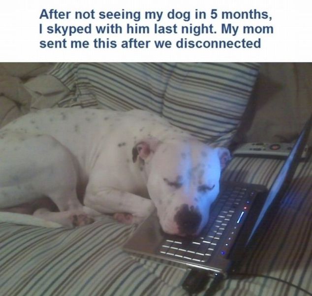 Morning Picdump
