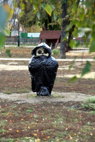 Morning Picdump