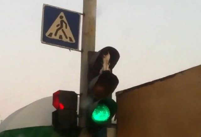 Content Image