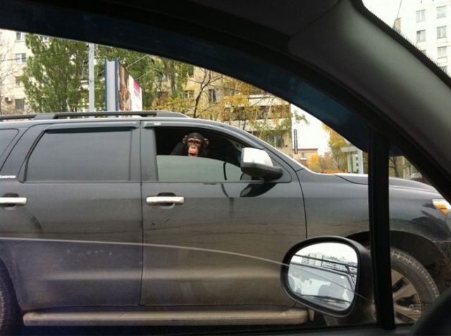 Morning Picdump