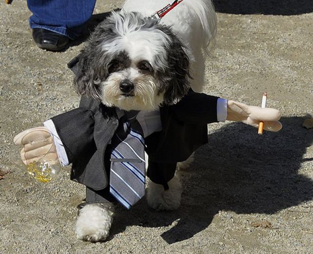 Content Image