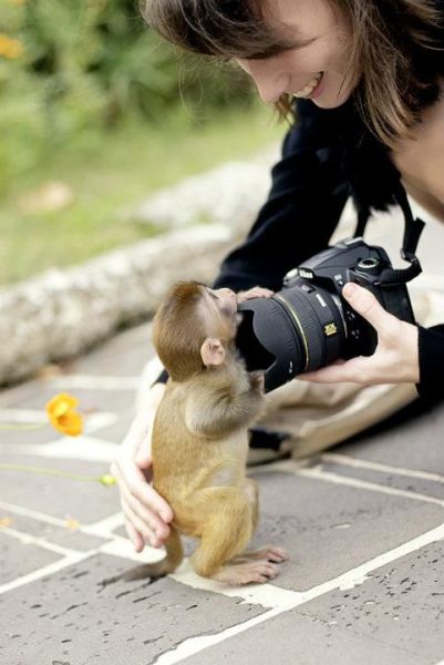 Daily Picdump