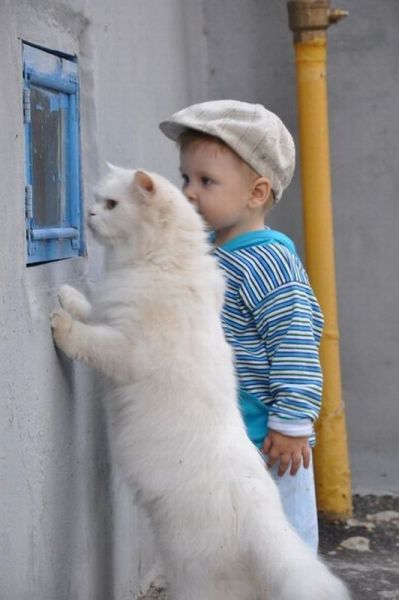 Daily Picdump