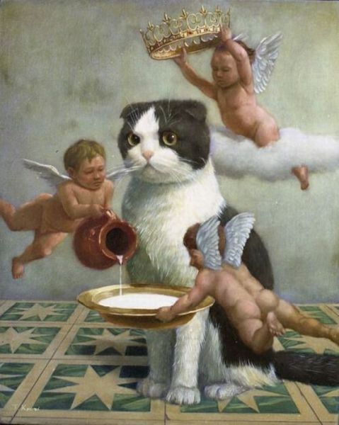 Content Image