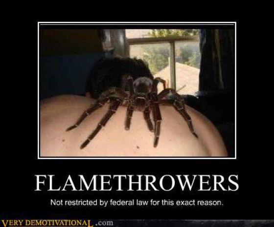 Demotivators Picdump