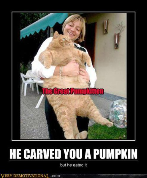 Demotivators Picdump