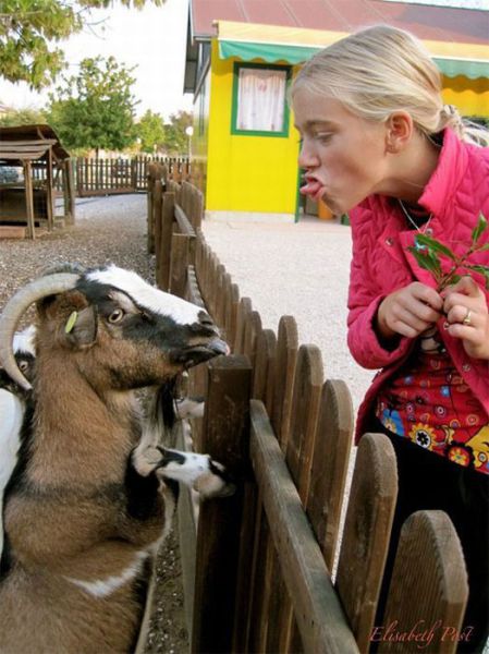 Morning Picdump
