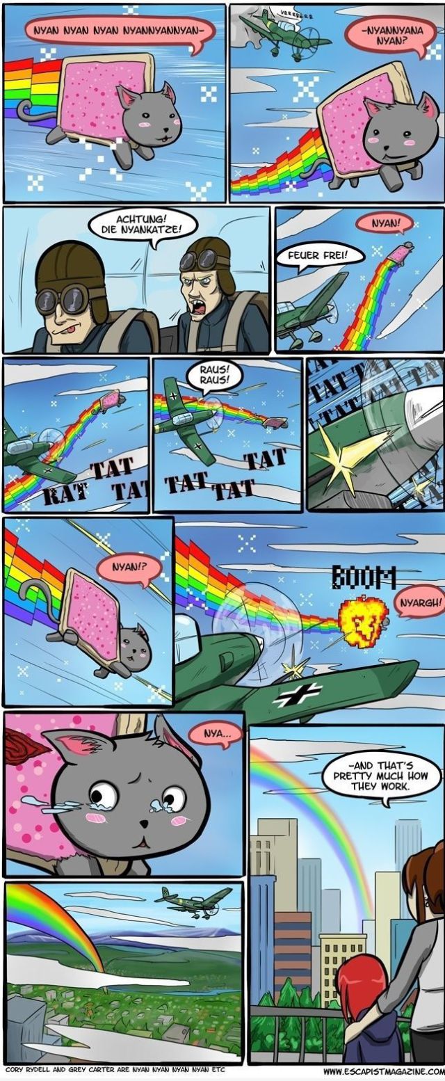 Morning Picdump